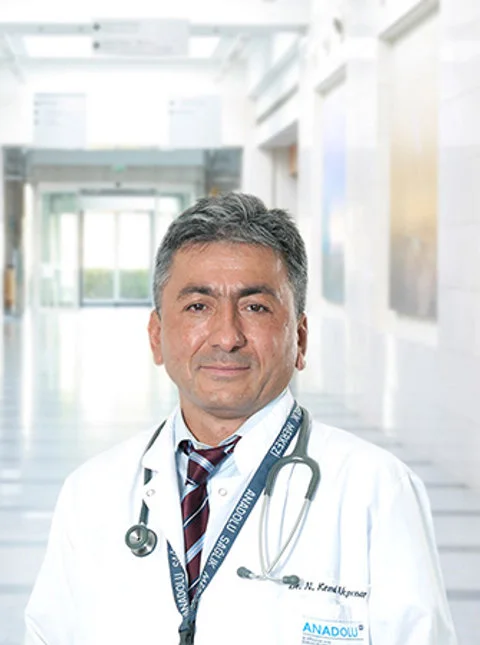 دکتر نامیک کمال آکپینار
